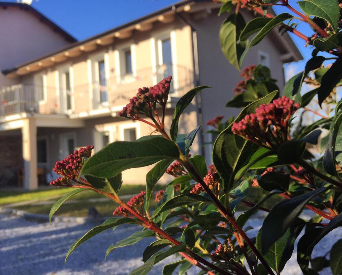 Happy Hill - Appartamento Quercia - Natura E Relax Santa Maria Rocca Exterior photo