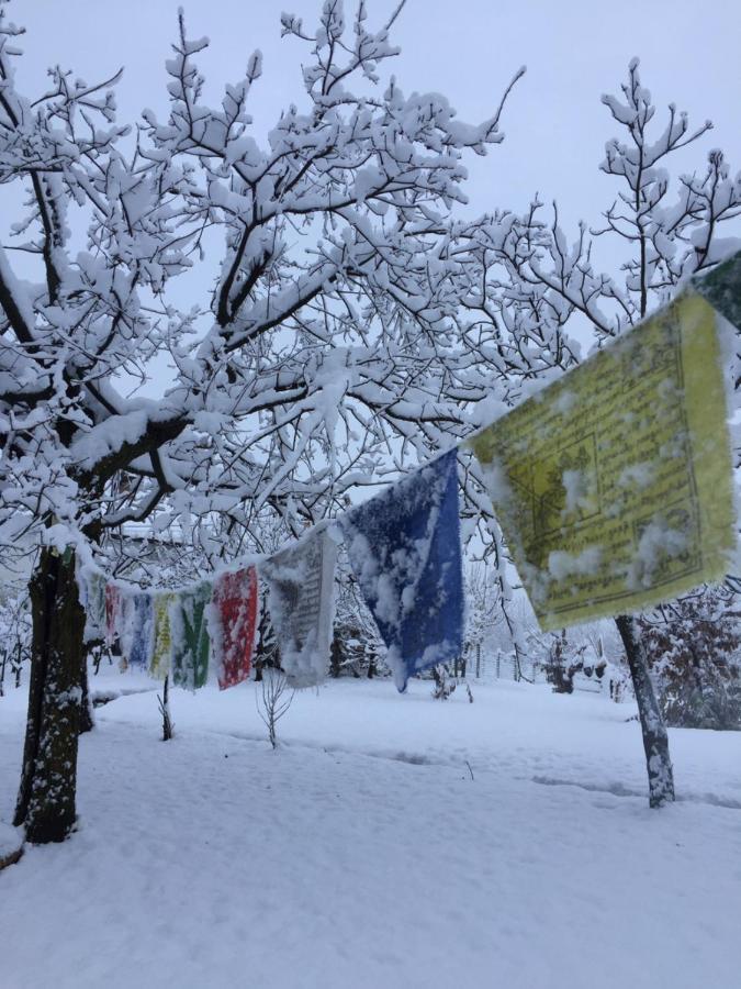 Happy Hill - Appartamento Quercia - Natura E Relax Santa Maria Rocca Exterior photo