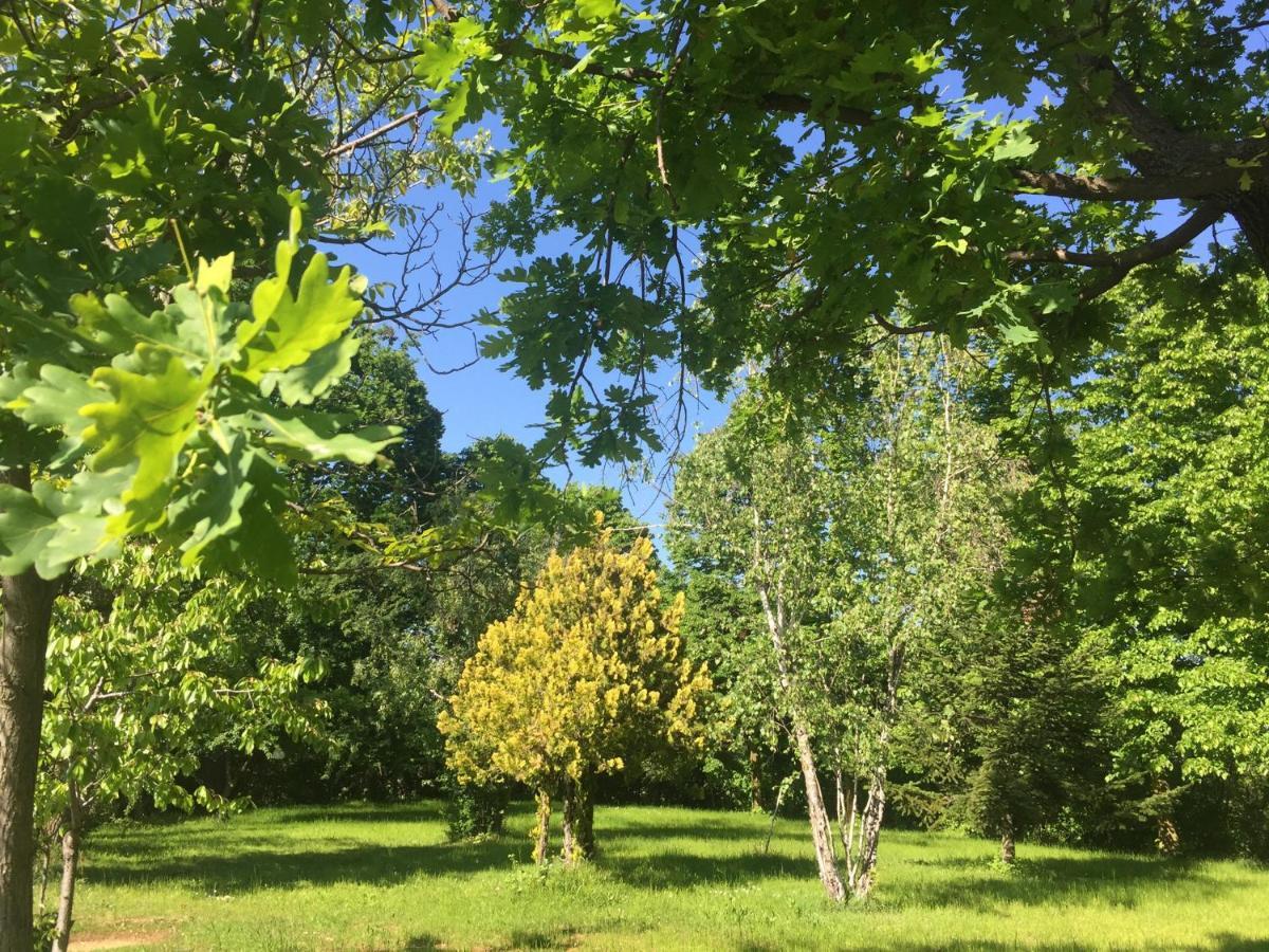Happy Hill - Appartamento Quercia - Natura E Relax Santa Maria Rocca Exterior photo